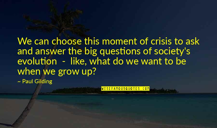 Woodin Quotes By Paul Gilding: We can choose this moment of crisis to