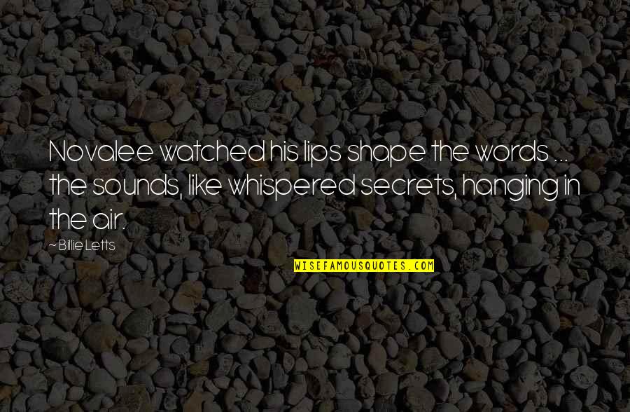 Words In Air Quotes By Billie Letts: Novalee watched his lips shape the words ...