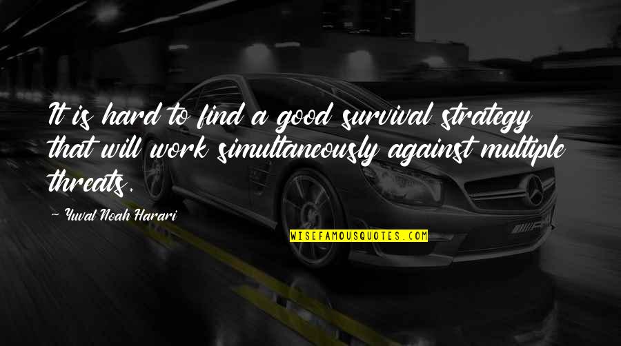 Work Strategy Quotes By Yuval Noah Harari: It is hard to find a good survival