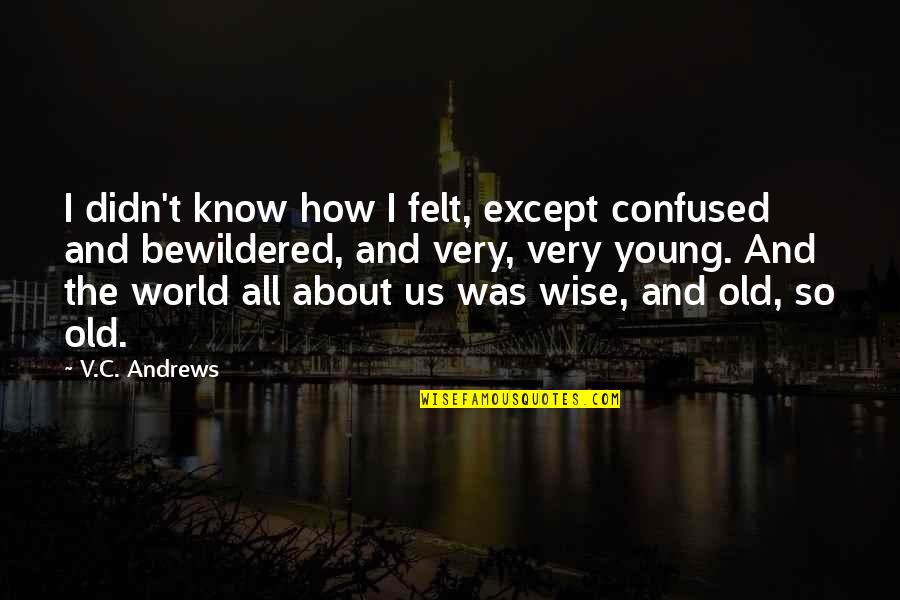 World Best Wise Quotes By V.C. Andrews: I didn't know how I felt, except confused