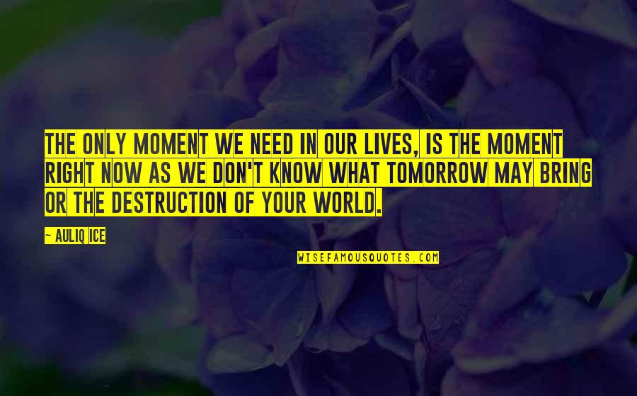 World Destruction Quotes By Auliq Ice: The only moment we need in our lives,