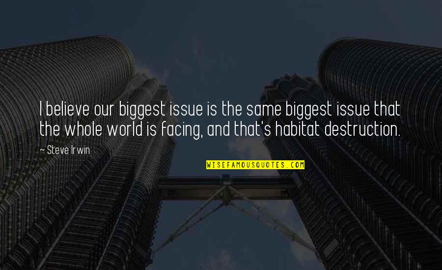 World Destruction Quotes By Steve Irwin: I believe our biggest issue is the same