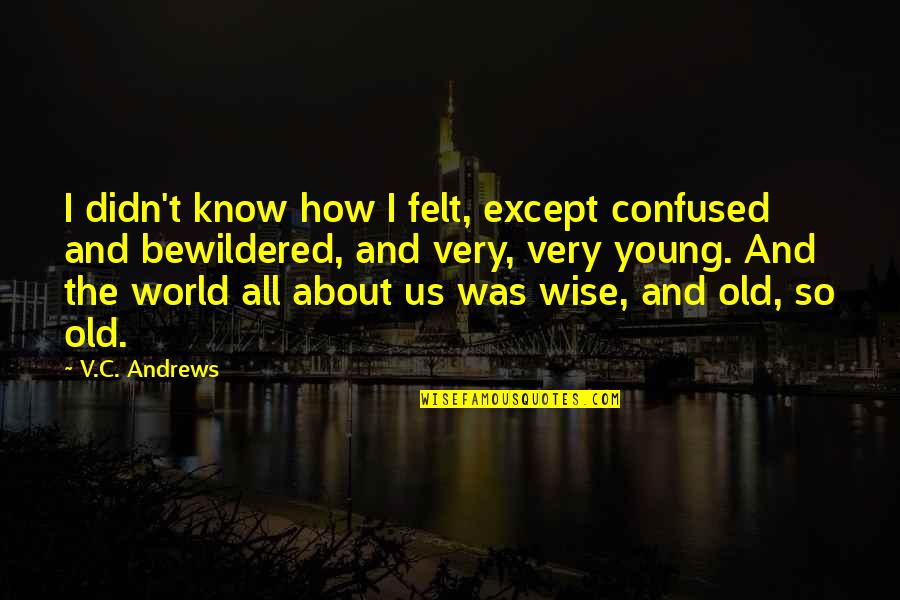 World Except Quotes By V.C. Andrews: I didn't know how I felt, except confused