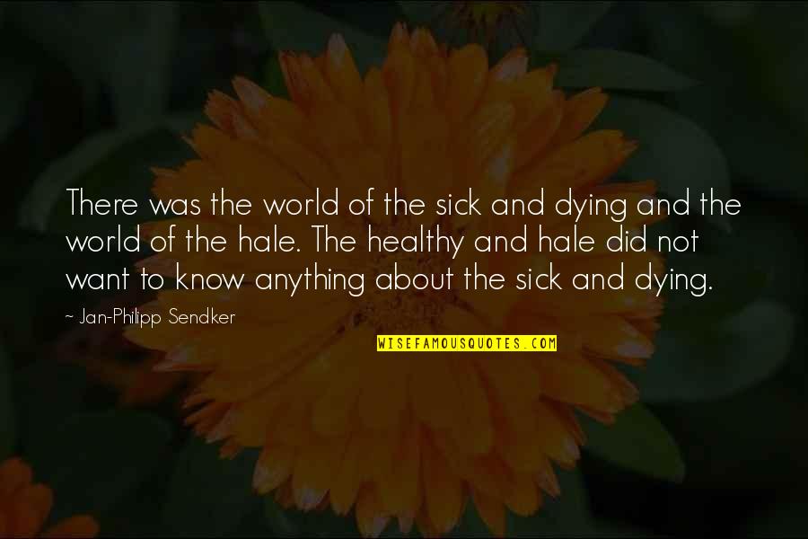 World Is Sick Quotes By Jan-Philipp Sendker: There was the world of the sick and