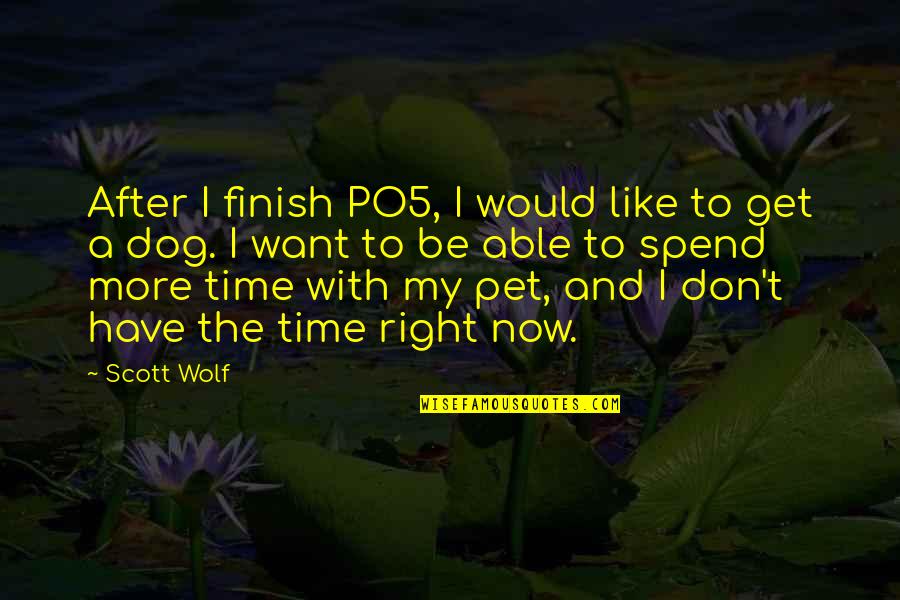 Would Pet Quotes By Scott Wolf: After I finish PO5, I would like to