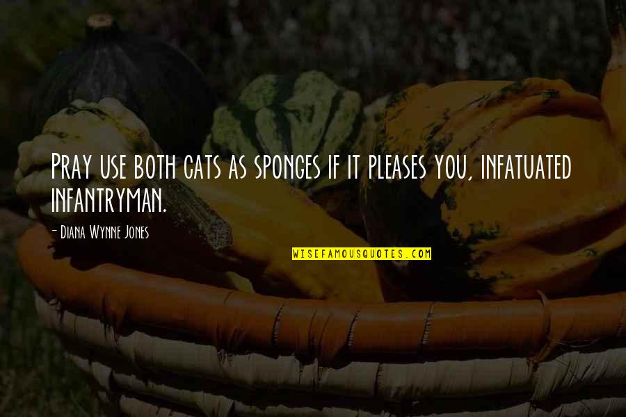 Writers Theater Quotes By Diana Wynne Jones: Pray use both cats as sponges if it