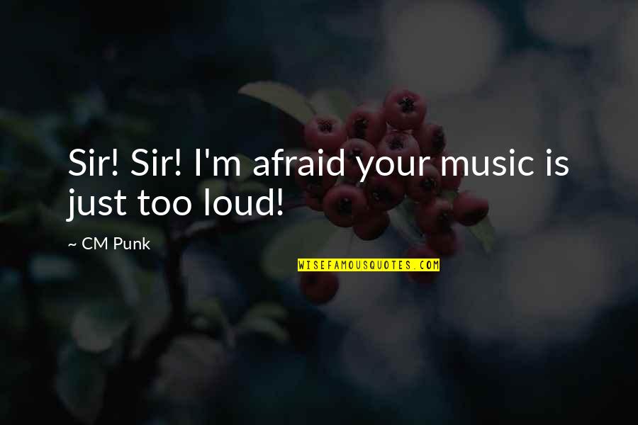 Wwe Funny Quotes By CM Punk: Sir! Sir! I'm afraid your music is just