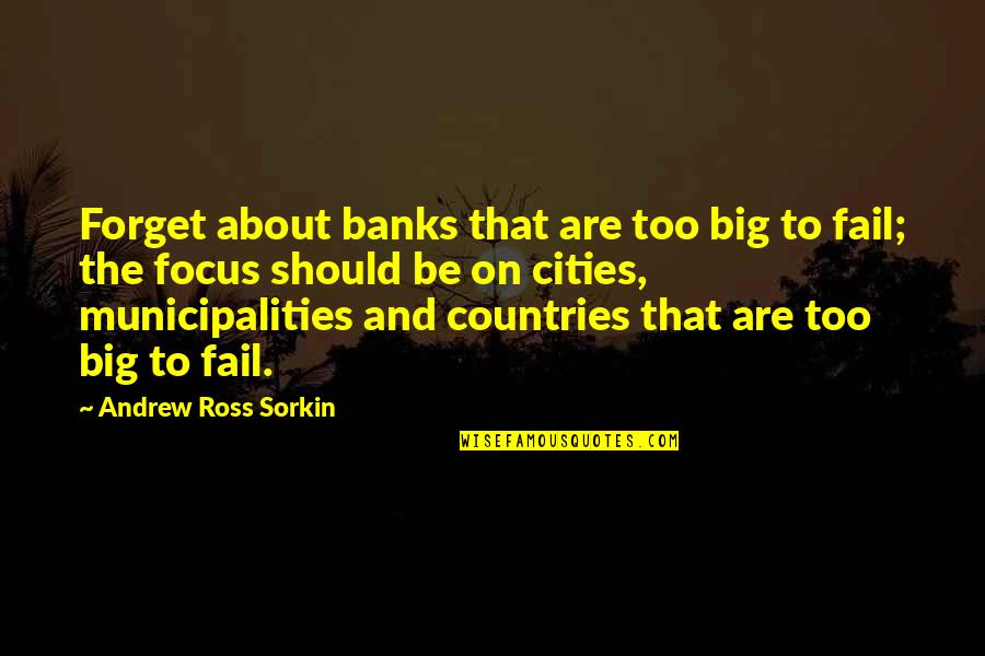 Wycliffe Country Quotes By Andrew Ross Sorkin: Forget about banks that are too big to