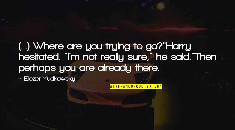 Wydler Bros Quotes By Eliezer Yudkowsky: (...) Where are you trying to go?"Harry hesitated.