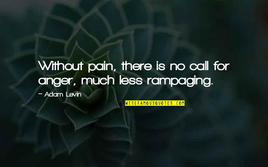 Xian Zhang Quotes By Adam Levin: Without pain, there is no call for anger,