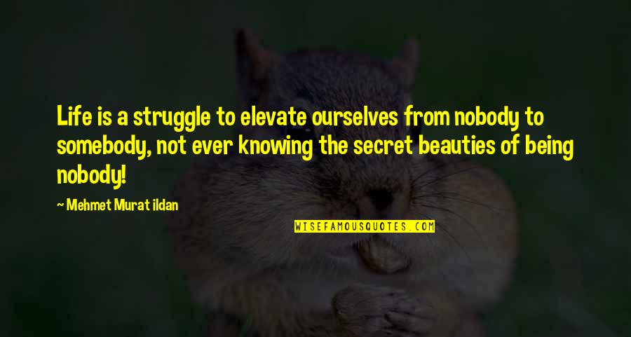 Xxvi Roman Quotes By Mehmet Murat Ildan: Life is a struggle to elevate ourselves from