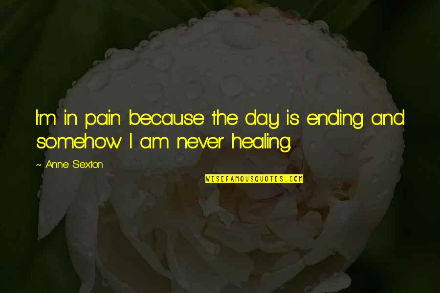 Y U Do Dis Quotes By Anne Sexton: I'm in pain because the day is ending