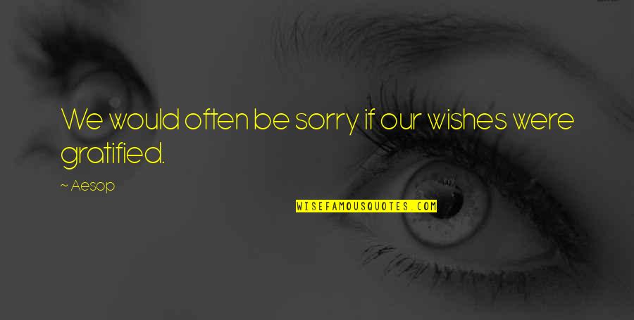 Yalena Jacome Quotes By Aesop: We would often be sorry if our wishes