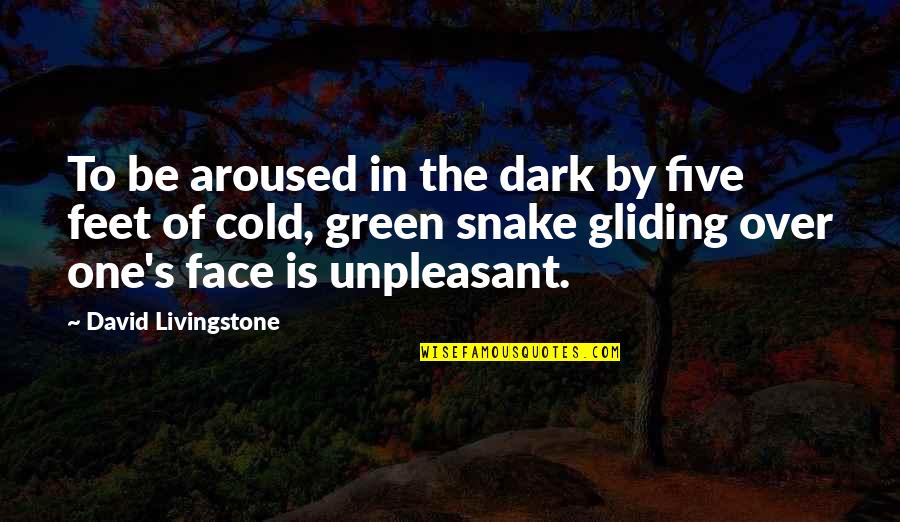 Yaniel Mieres Quotes By David Livingstone: To be aroused in the dark by five