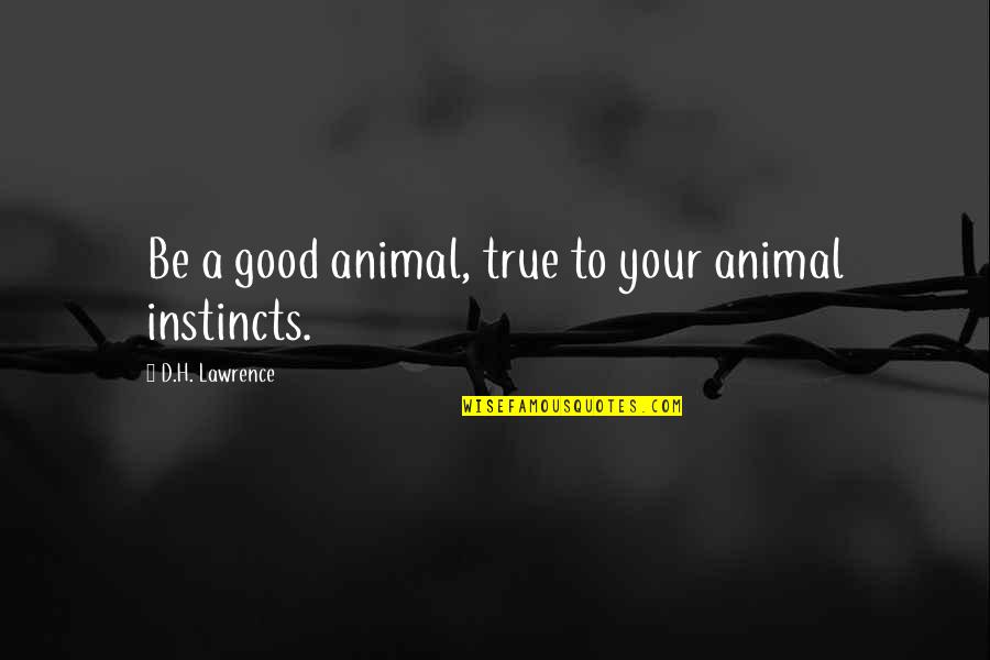 Yardsticks Quotes By D.H. Lawrence: Be a good animal, true to your animal