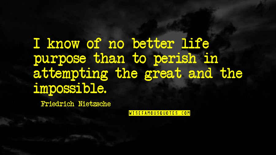 Yassuh Massa Quotes By Friedrich Nietzsche: I know of no better life purpose than
