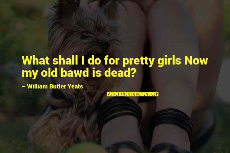 Yoav Reuveni Quotes By William Butler Yeats: What shall I do for pretty girls Now