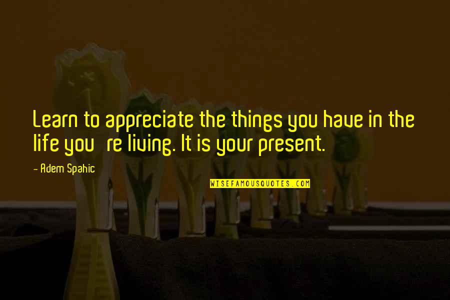 You Amazing Quotes By Adem Spahic: Learn to appreciate the things you have in