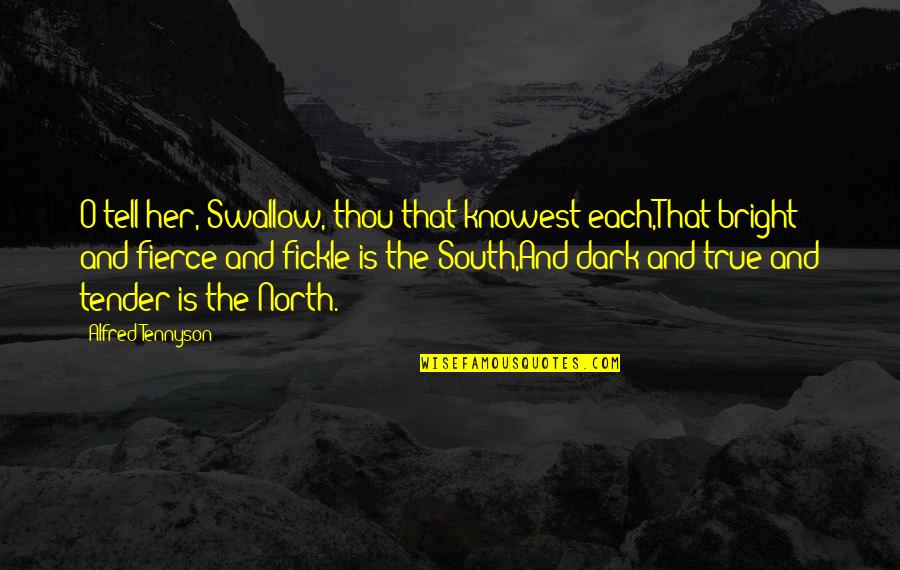 You Are Fierce Quotes By Alfred Tennyson: O tell her, Swallow, thou that knowest each,That