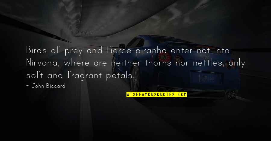 You Are Fierce Quotes By John Biccard: Birds of prey and fierce piranha enter not