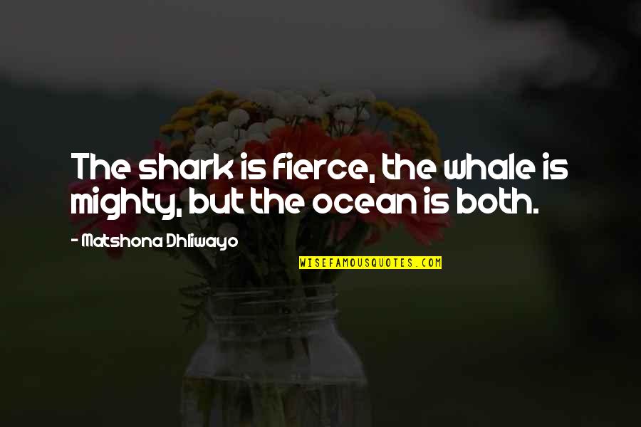 You Are Fierce Quotes By Matshona Dhliwayo: The shark is fierce, the whale is mighty,