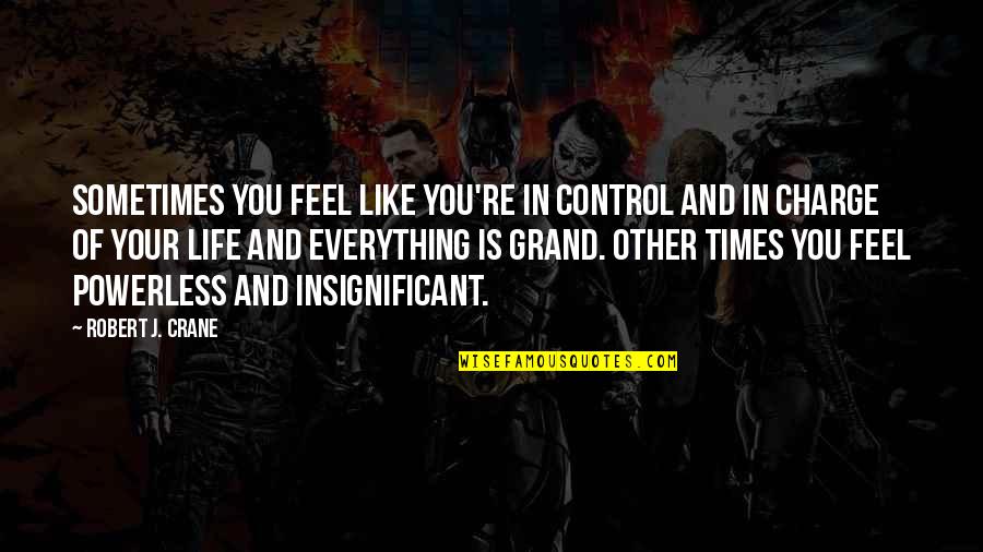 You Are In Charge Of Your Life Quotes By Robert J. Crane: Sometimes you feel like you're in control and