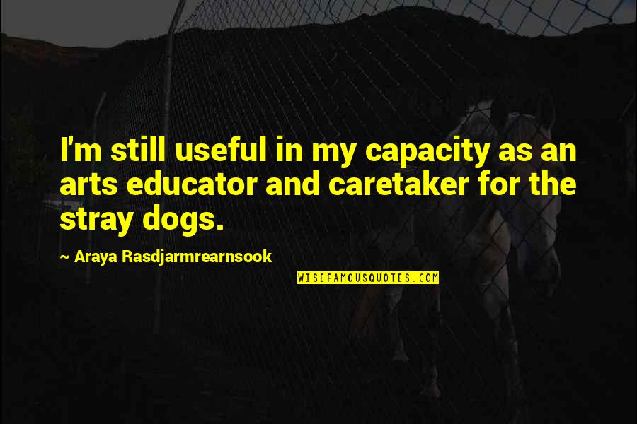 You Are My Caretaker Quotes By Araya Rasdjarmrearnsook: I'm still useful in my capacity as an