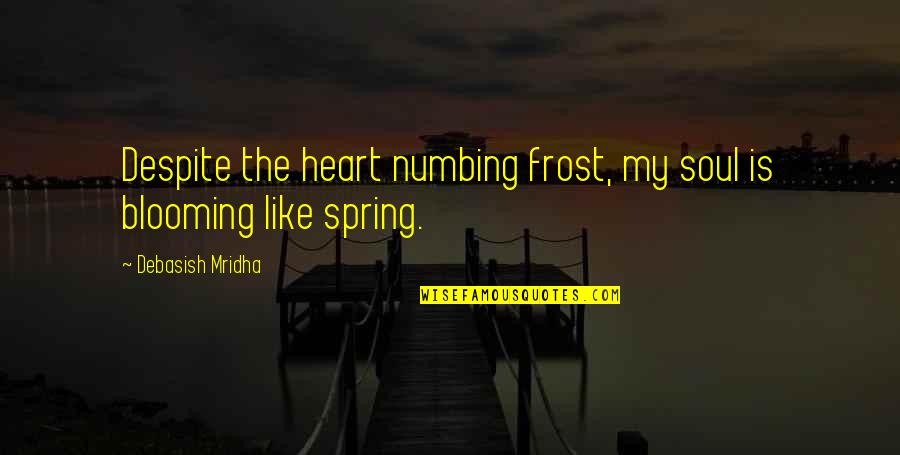 You Are My Heart My Soul Quotes By Debasish Mridha: Despite the heart numbing frost, my soul is