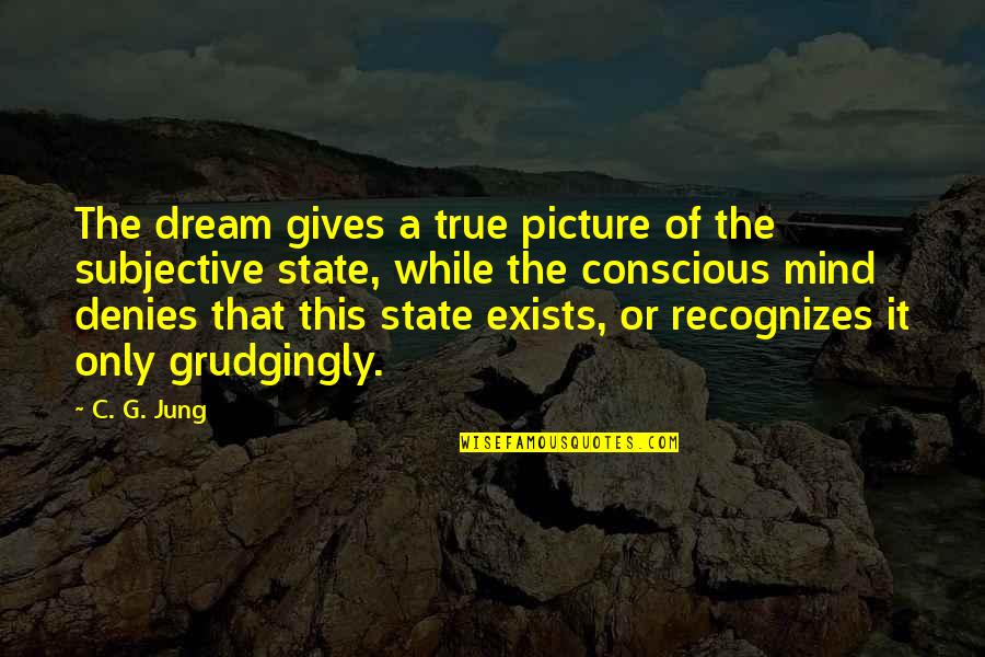 You Are Only My Dream Quotes By C. G. Jung: The dream gives a true picture of the