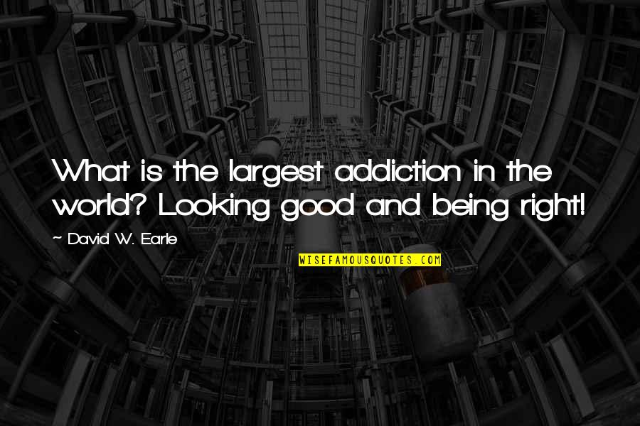 You Are So Good Looking Quotes By David W. Earle: What is the largest addiction in the world?