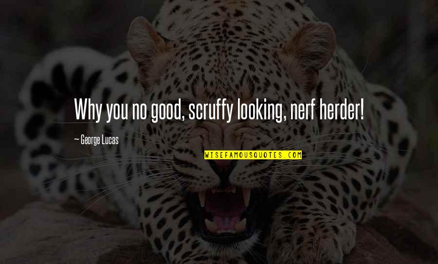You Are So Good Looking Quotes By George Lucas: Why you no good, scruffy looking, nerf herder!
