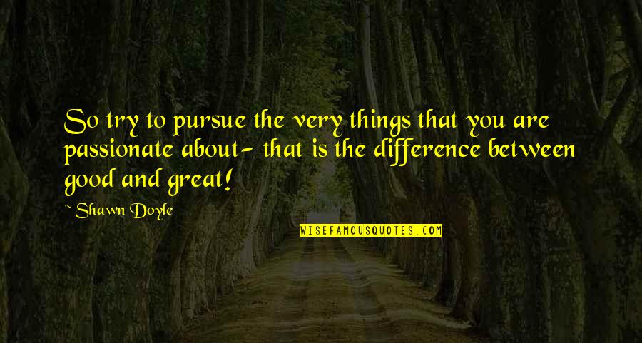 You Are So Good Quotes By Shawn Doyle: So try to pursue the very things that