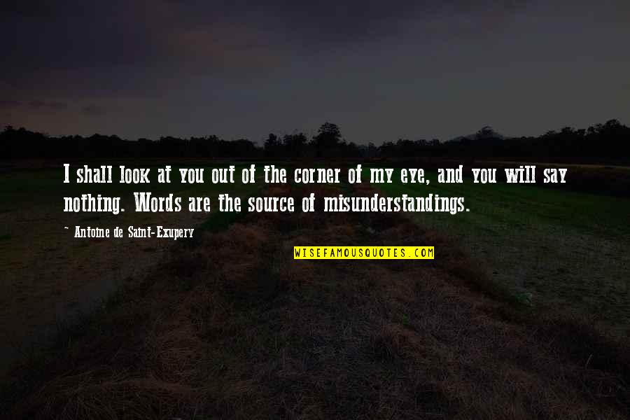 You Are The Of My Quotes By Antoine De Saint-Exupery: I shall look at you out of the