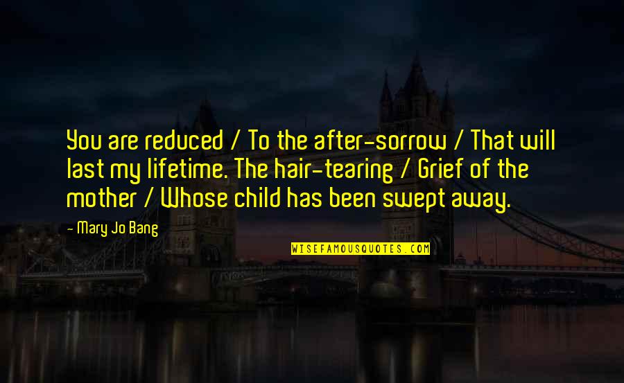 You Are The Of My Quotes By Mary Jo Bang: You are reduced / To the after-sorrow /