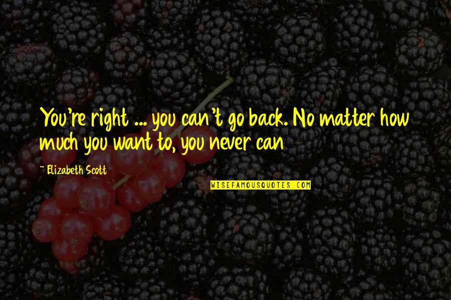 You Can Never Go Back Quotes By Elizabeth Scott: You're right ... you can't go back. No