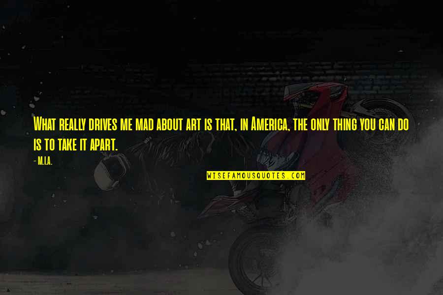 You Can Only Do What You Can Do Quotes By M.I.A.: What really drives me mad about art is