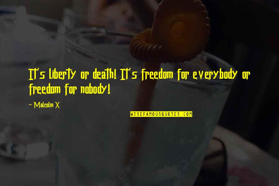 You Fell Victim To The Classic Blunder Quotes By Malcolm X: It's liberty or death! It's freedom for everybody