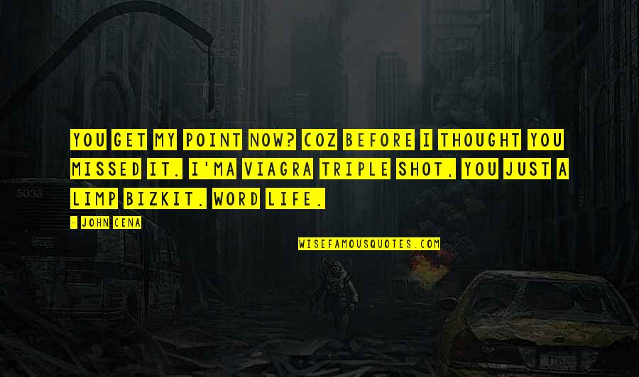 You Get To A Point In Life Quotes By John Cena: You get my point now? Coz before I