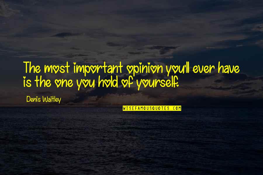 You Have No One But Yourself Quotes By Denis Waitley: The most important opinion you'll ever have is