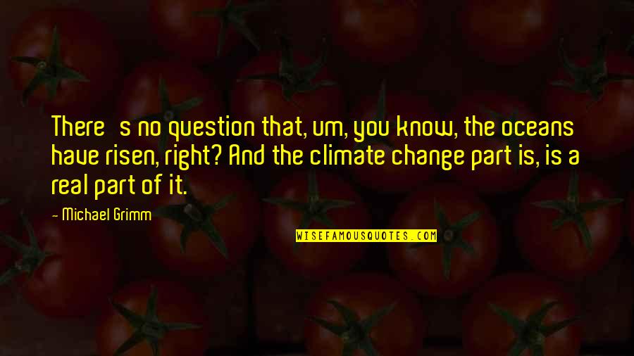 You Know It's Real Quotes By Michael Grimm: There's no question that, um, you know, the