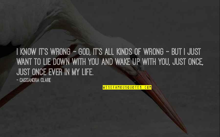 You Know You Were Wrong Quotes By Cassandra Clare: I know it's wrong - God, it's all