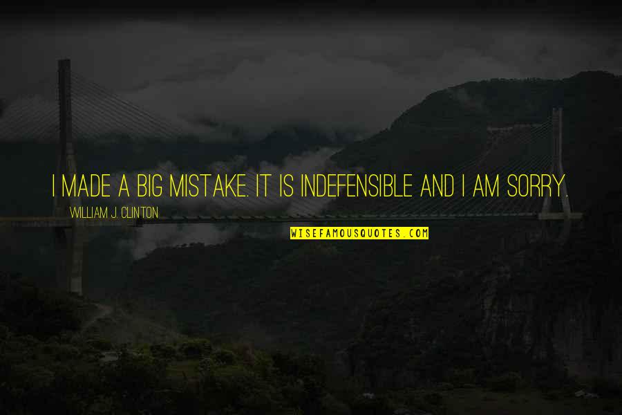 You Made A Big Mistake Quotes By William J. Clinton: I made a big mistake. It is indefensible