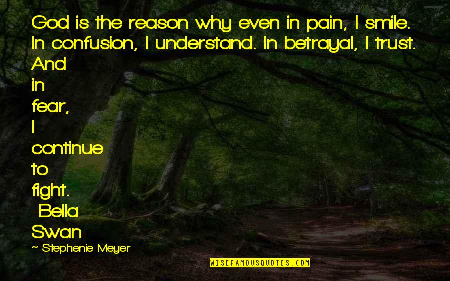 You Re The Reason For My Smile Quotes By Stephenie Meyer: God is the reason why even in pain,