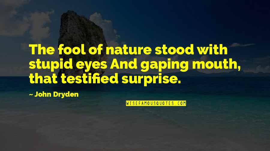 You Stupid Fool Quotes By John Dryden: The fool of nature stood with stupid eyes