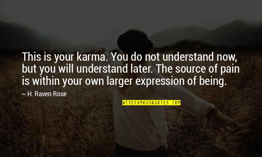 You Will Not Understand Quotes By H. Raven Rose: This is your karma. You do not understand