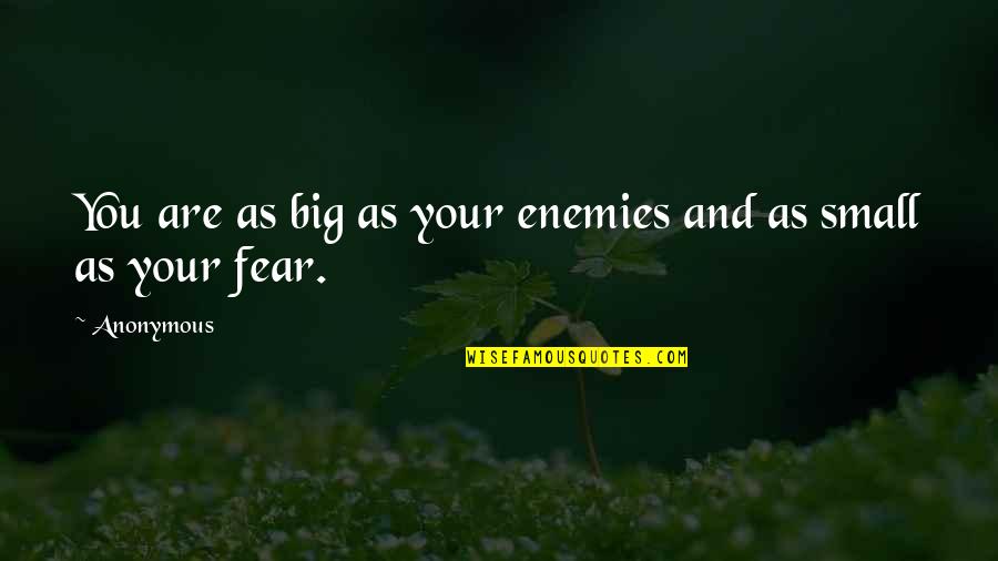 Your Enemies Quotes By Anonymous: You are as big as your enemies and