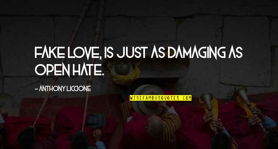 Your Fake Love Quotes By Anthony Liccione: Fake love, is just as damaging as open