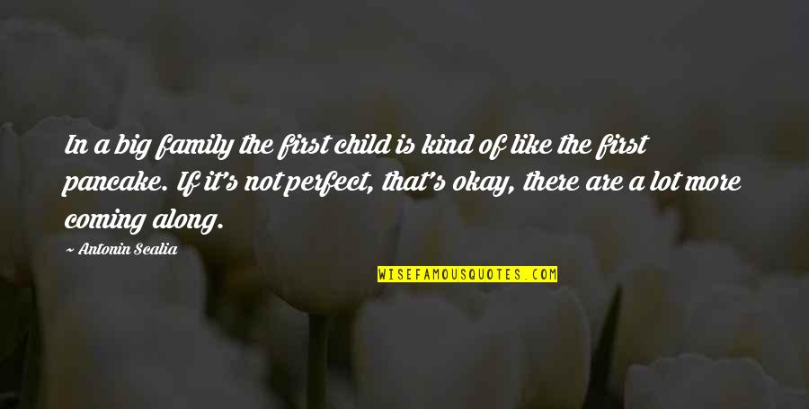 Your First Child Quotes By Antonin Scalia: In a big family the first child is