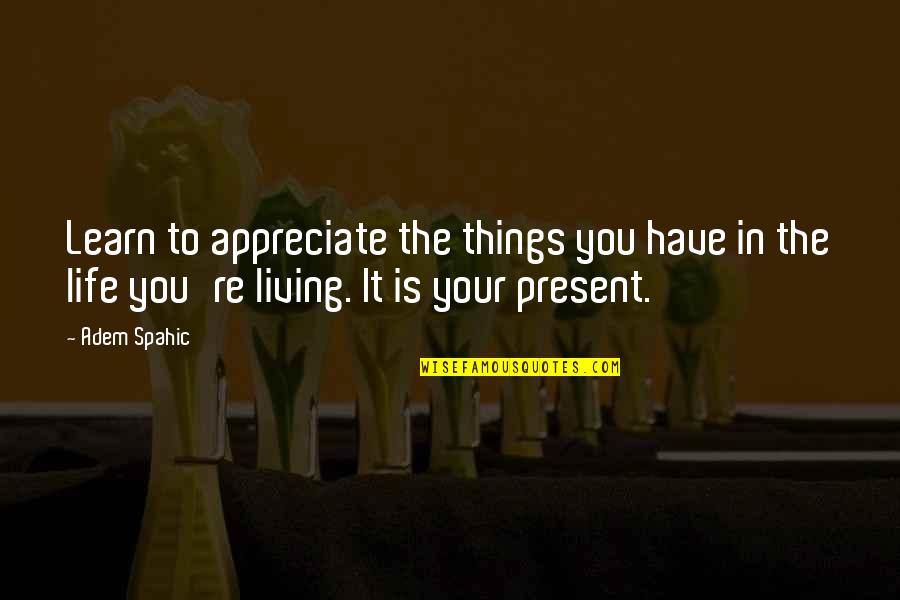 Your Time Is Your Time Quotes By Adem Spahic: Learn to appreciate the things you have in