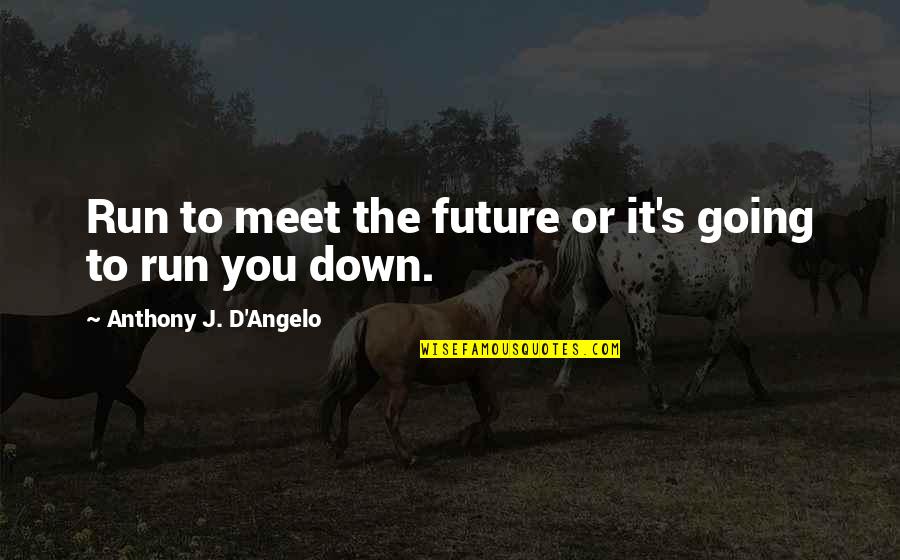 You're Going Down Quotes By Anthony J. D'Angelo: Run to meet the future or it's going